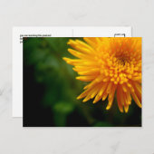 Ongewoon mooi briefkaart (mum) (Voorkant / Achterkant)