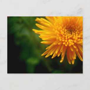 Ongewoon mooi briefkaart (mum)