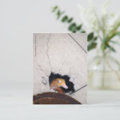 onhandige molen briefkaart (Staand voorkant)