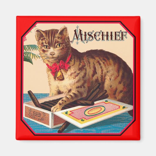 Onheil de kat magneet (Voorkant)
