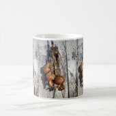 ONIES KOFFIEMOK (Center)