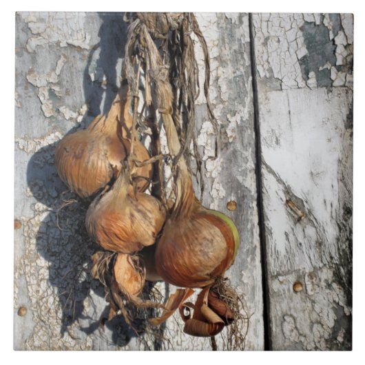 ONIES TEGELTJE (Voorkant)