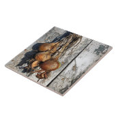 ONIES TEGELTJE (Zijkant)