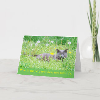 "Onkruid is het idee van mensen..." Happy Spring K Kaart