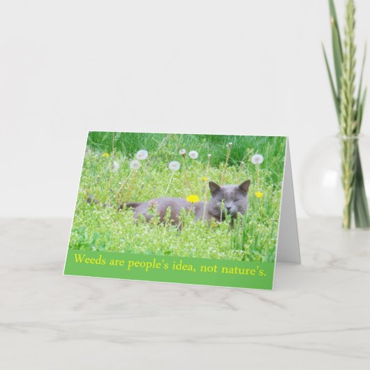 "Onkruid is het idee van mensen..." Happy Spring K Kaart (Voorkant)