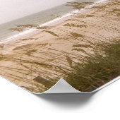 onkruid poster (Hoek)