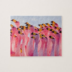 Onmogelijke puzzel - Flamingos