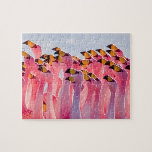 Onmogelijke puzzel - Flamingos (Horizontaal)