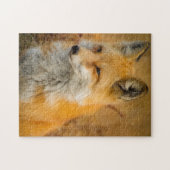 Onmogelijke puzzel - Fox (Horizontaal)