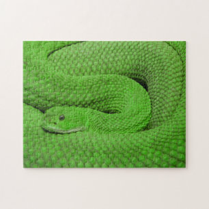 Onmogelijke puzzel - groene slang