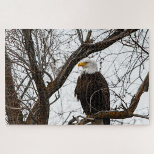 Onmogelijke puzzel - Haliaeetus Legpuzzel