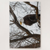 Onmogelijke puzzel - Haliaeetus Legpuzzel (Verticaal)