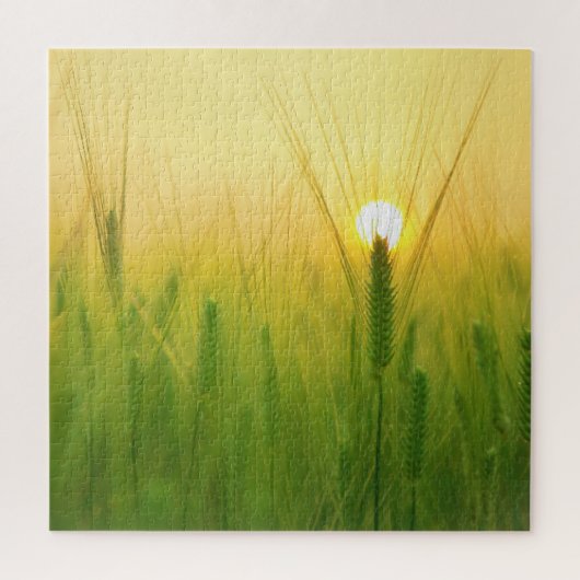 Onmogelijke puzzel - Morning Wheat (Verticaal)
