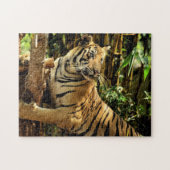 Onmogelijke puzzel - Oerwoud tijger Legpuzzel (Horizontaal)