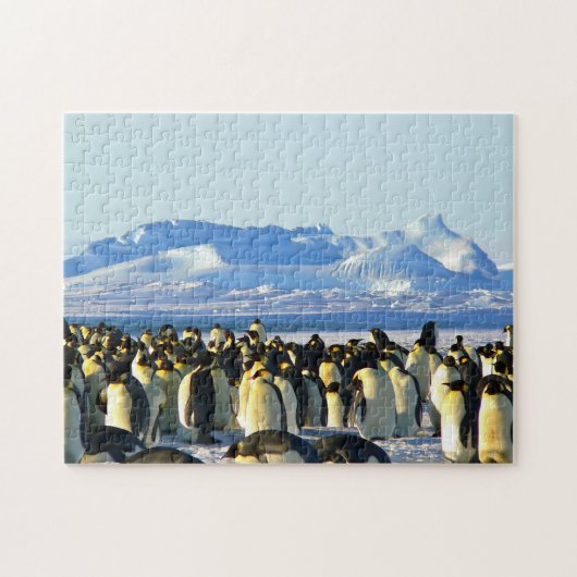Onmogelijke puzzel - Penguins-kolonie Legpuzzel (Horizontaal)
