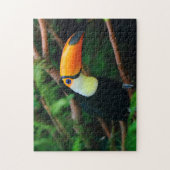 Onmogelijke puzzel - Toucan (Verticaal)