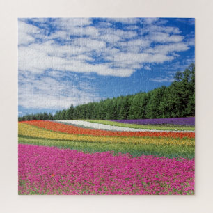 Onmogelijke puzzel - Vloeiend veld