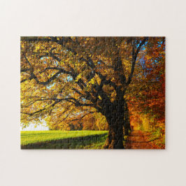 Onmogelijke puzzel - Zonnige herfst