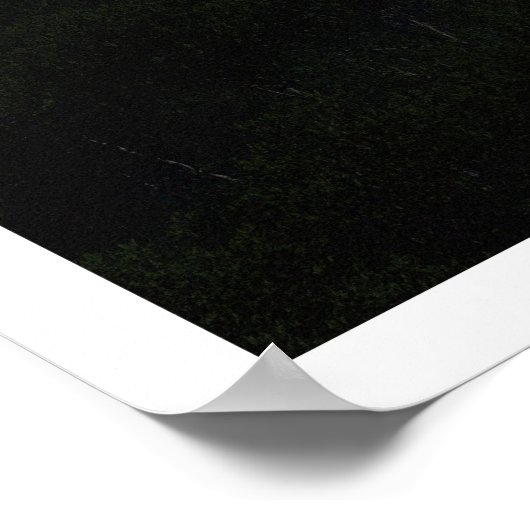 Onontdekt (nacht) poster (Hoek)