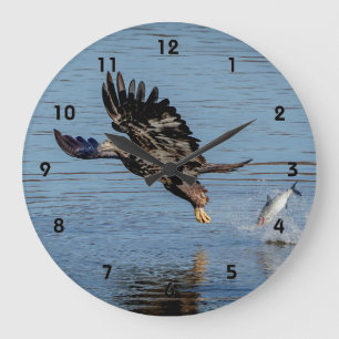 Onrijpe Bald Eagle die een vis laat vallen Grote Klok