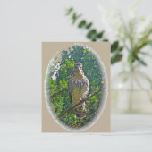 Onrijpe Red Tailed Hawk-coördinerende items Briefkaart (Staand voorkant)