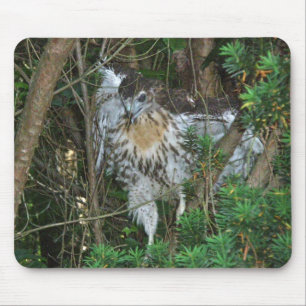 Onrijpe Red Tailed Hawk-coördinerende items Muismat