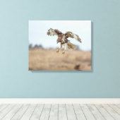 Onrijpe Rode Hawk Hovering Canvas Afdruk (Insitu (Houten vloer))