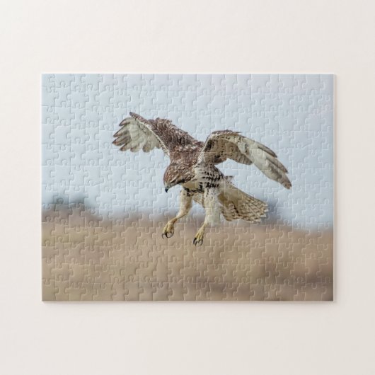 Onrijpe Rode Hawk Hovering Legpuzzel (Horizontaal)