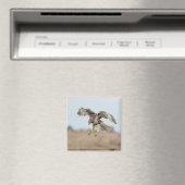 Onrijpe Rode Hawk Hovering Magneet (Insitu (Vaatwasser))