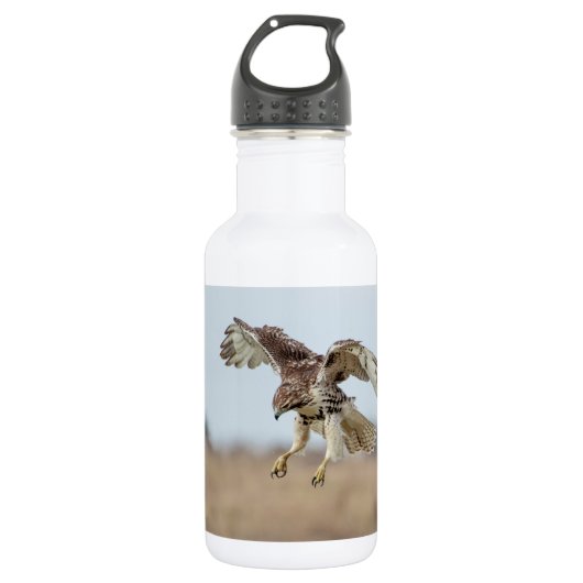 Onrijpe Rode Hawk Hovering Waterfles (Voorkant)