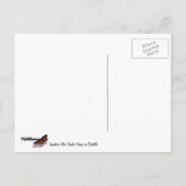 Onrijpe Rode Hawk in de Struik van Ocotillo Briefkaart (Achterkant)