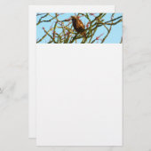 Onrijpe Rode Hawk in de Struik van Ocotillo Briefpapier (Voorkant / Achterkant)