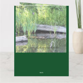 Ons diepste medeleven kaart (Achterkant)