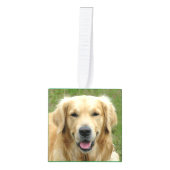 Ons gezelschapsdier 5 Fotokubus Ornament (Voorkant)