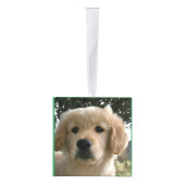 Ons gezelschapsdier 5 Fotokubus Ornament (Rechts)