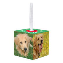 Ons gezelschapsdier 5 Fotokubus Ornament