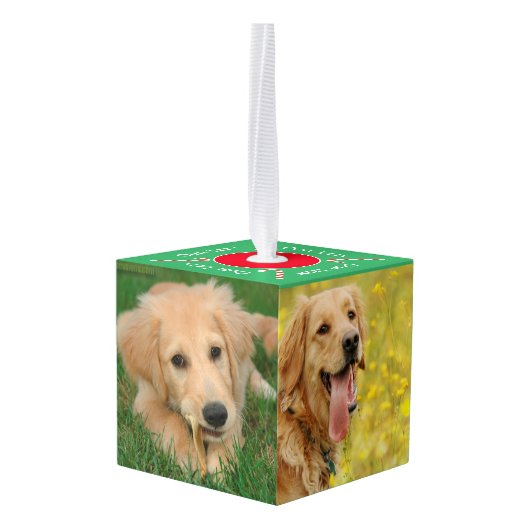 Ons gezelschapsdier 5 Fotokubus Ornament (Achter hoekig)