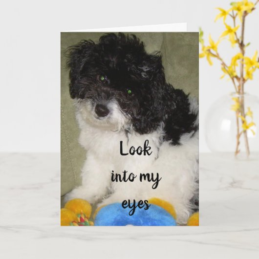 "ONS JUBILEUM", WAT DENK JE DAT IK DENK? KAART (Gele Bloem)