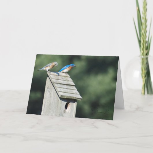 Ons Nieuw Huis, Kaart (Voorkant)