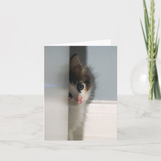 Onschuld Notecard Kaart (Voorkant)