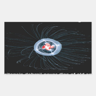 Onsterfelijke kwallen rechthoek Stickers