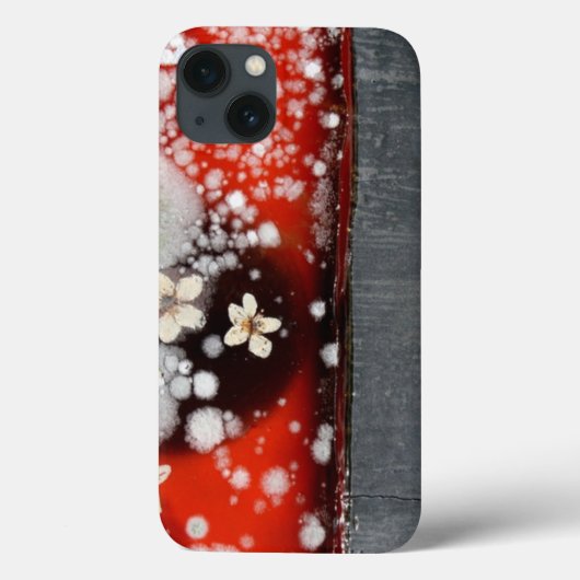 Onsterfelijkheid 2 Case-Mate iPhone case (Achterkant)