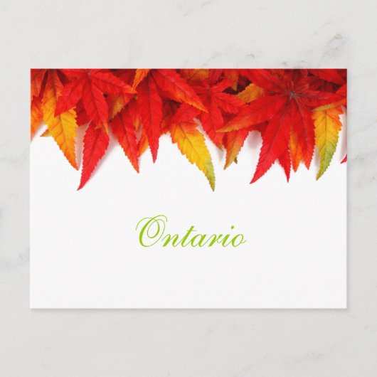 Ontario Autumn Leaves Briefkaart (Voorkant)