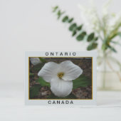 Ontario, Canada Trillium Briefkaart (Staand voorkant)