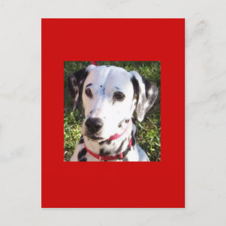 ontbering briefkaart