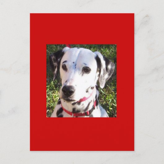 ontbering briefkaart (Voorkant)