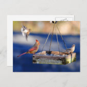 Ontbijttafel (vogels) Briefkaart (Voorkant / Achterkant)