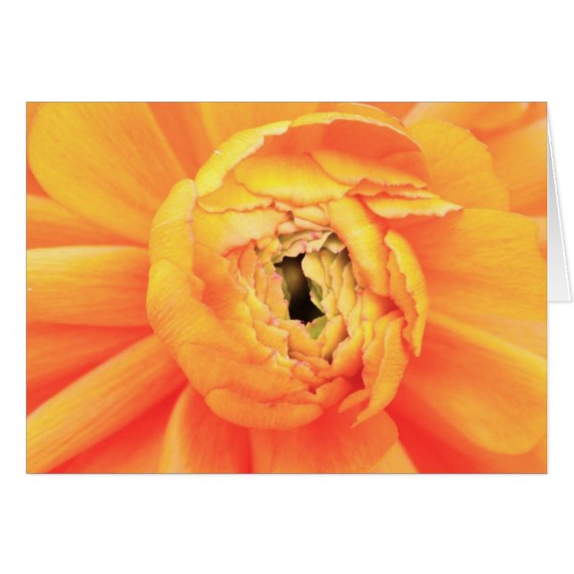 Ontbinding (Voorkant Horizontaal)