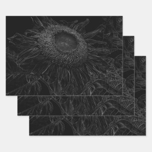 Ontbinding zonnebloem zwart en witte Florence Inpakpapier Vel