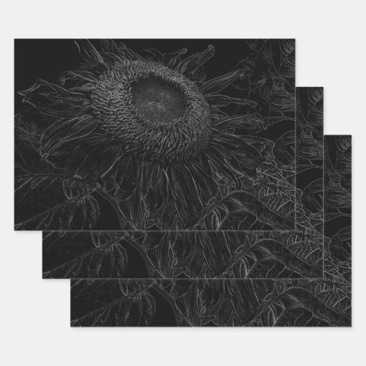 Ontbinding zonnebloem zwart en witte Florence Inpakpapier Vel (Set)